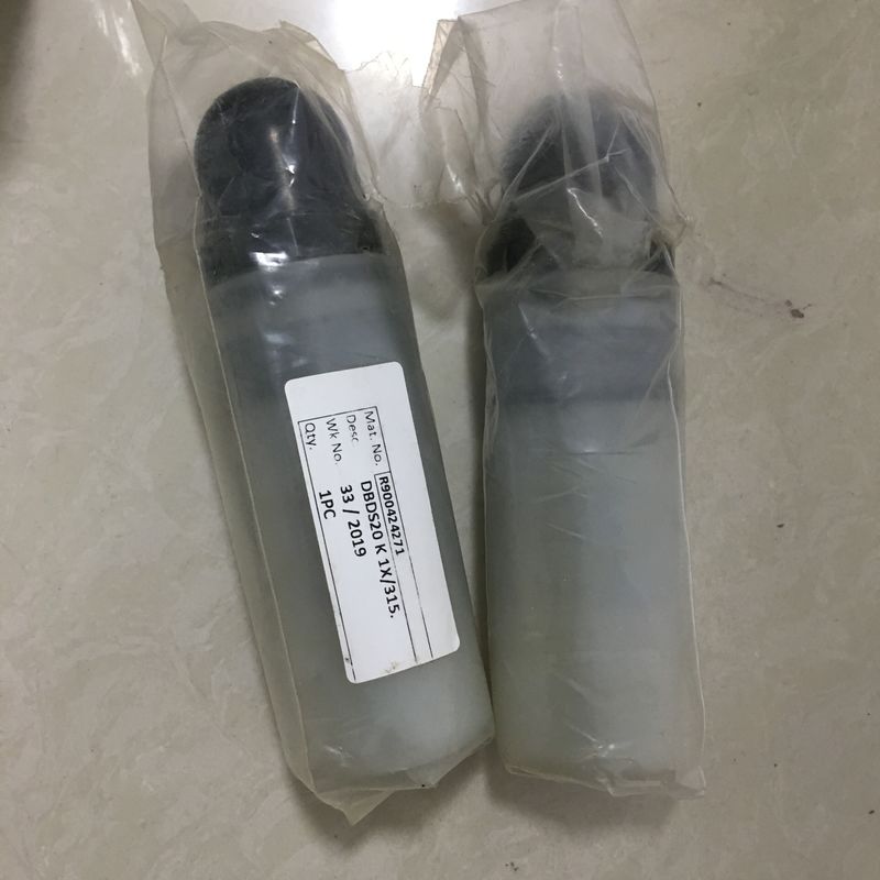 Rexroth  DBDS 20 K1X315 Stainless Steel  Relief Valve R900424271